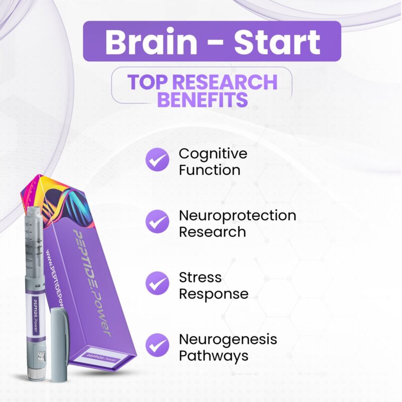 Brain - Start