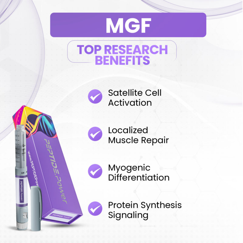 MGF Benefits: Satellite Cell Activation, Localized Muscle Repair, Myogenic Differentiation, Protein Synthesis Signaling