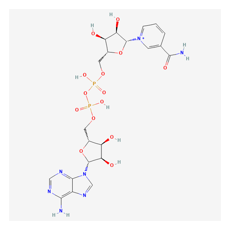 2D chemical structure of NAD+ - Pyridine Dinucleotide Coenzyme Compound, Reference Material