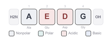 Amino-acid sequence of Epithalon - Synthetic Tetrapeptide, Research Reference Material