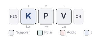 Amino-acid sequence of KPV - Melanocortin-Derived Tripeptide, Research Reference Material