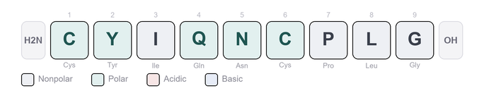 Amino-acid sequence of Oxytocin - Cyclic Nonapeptide Hormone, Research Reference Material