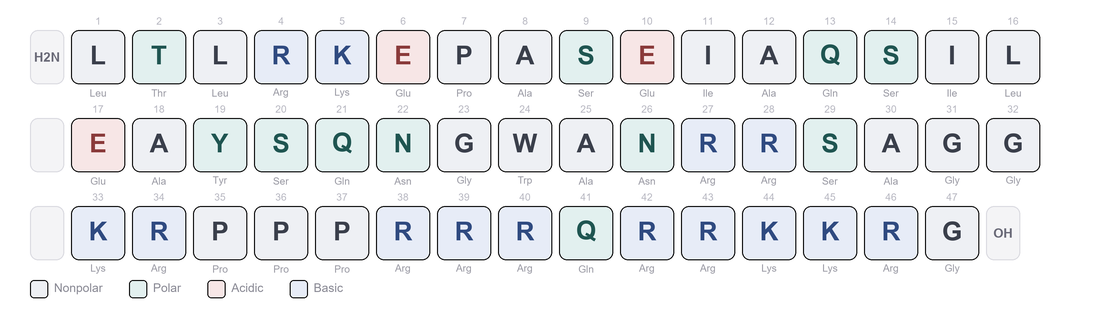 Amino-acid sequence of FOXO4-DRI (Proxofim) - D-Retro-Inverso Peptide, FOXO4-p53 Interaction Domain, Research Reference Material
