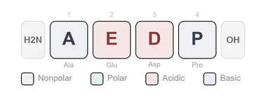 Amino-acid sequence of Cortagen - Synthetic Tetrapeptide (Ala-Glu-Asp-Pro), Research Reference Material