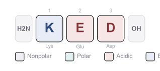 Amino-acid sequence of Vesugen - Synthetic Tripeptide (Lys-Glu-Asp), Research Reference Material