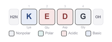 Amino-acid sequence of Testagen - Synthetic Tetrapeptide (Lys-Glu-Asp-Gly), Research Reference Material